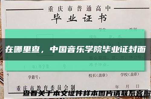 在哪里查，中国音乐学院毕业证封面缩略图