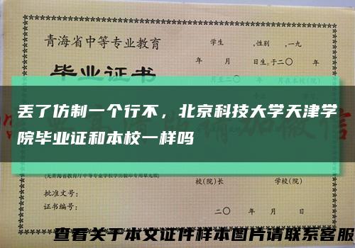 丢了仿制一个行不，北京科技大学天津学院毕业证和本校一样吗缩略图