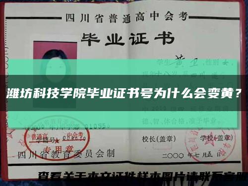 潍坊科技学院毕业证书号为什么会变黄？缩略图
