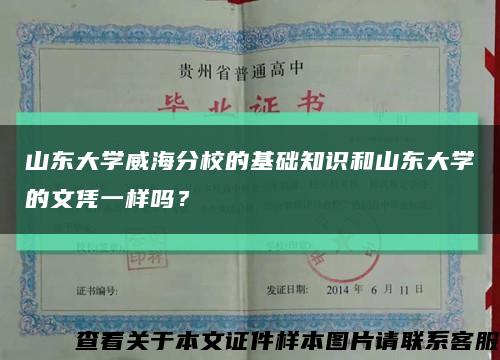 山东大学威海分校的基础知识和山东大学的文凭一样吗？缩略图