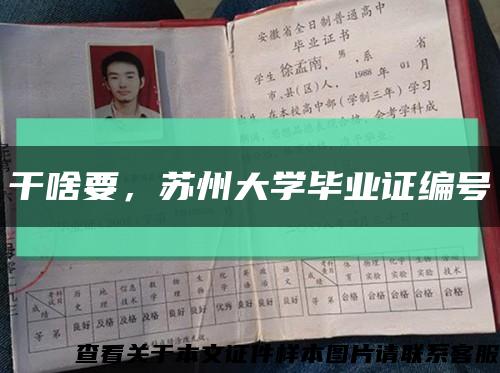 干啥要，苏州大学毕业证编号缩略图