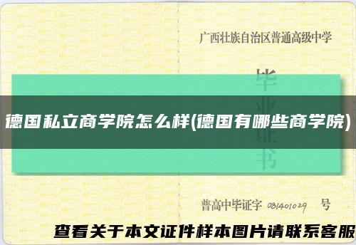 德国私立商学院怎么样(德国有哪些商学院)缩略图