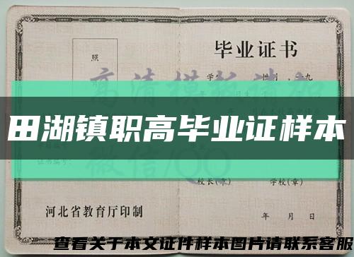 田湖镇职高毕业证样本缩略图