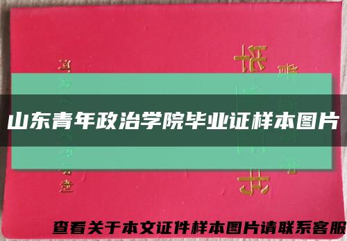 山东青年政治学院毕业证样本图片缩略图