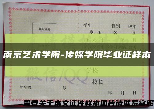 南京艺术学院-传媒学院毕业证样本缩略图