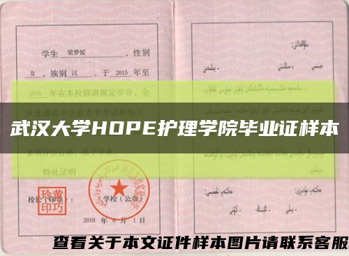 武汉大学HOPE护理学院毕业证样本缩略图