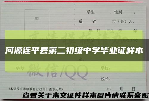 河源连平县第二初级中学毕业证样本缩略图