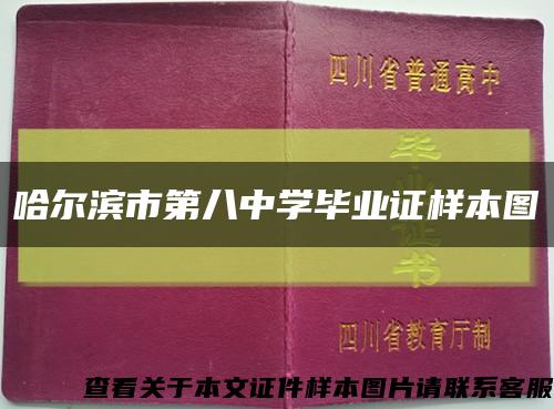 哈尔滨市第八中学毕业证样本图缩略图