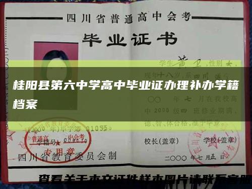 桂阳县第六中学高中毕业证办理补办学籍档案缩略图