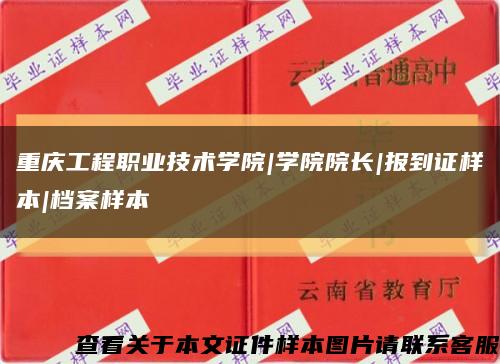 重庆工程职业技术学院|学院院长|报到证样本|档案样本缩略图