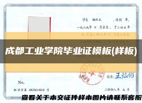 成都工业学院毕业证模板(样板)缩略图