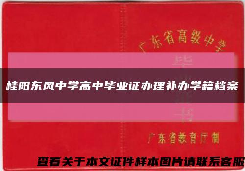 桂阳东风中学高中毕业证办理补办学籍档案缩略图