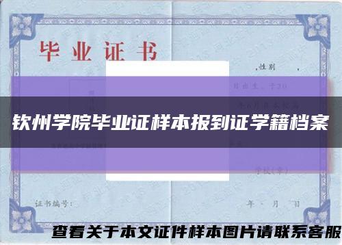 钦州学院毕业证样本报到证学籍档案缩略图