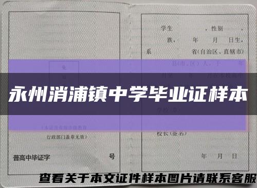 永州消浦镇中学毕业证样本缩略图