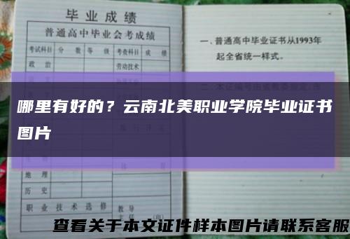 哪里有好的？云南北美职业学院毕业证书图片缩略图