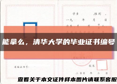 能拿么，清华大学的毕业证书编号缩略图