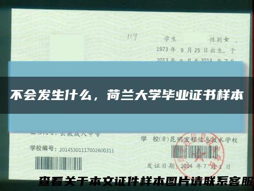 不会发生什么，荷兰大学毕业证书样本缩略图
