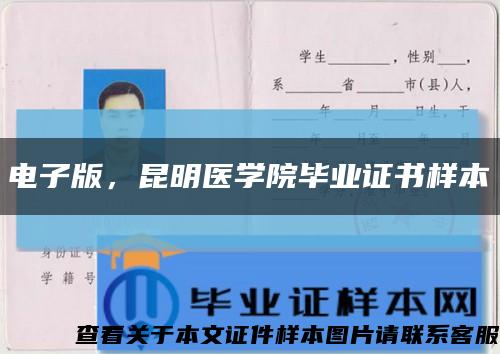 电子版，昆明医学院毕业证书样本缩略图
