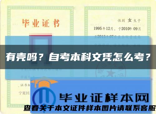 有壳吗？自考本科文凭怎么考？缩略图