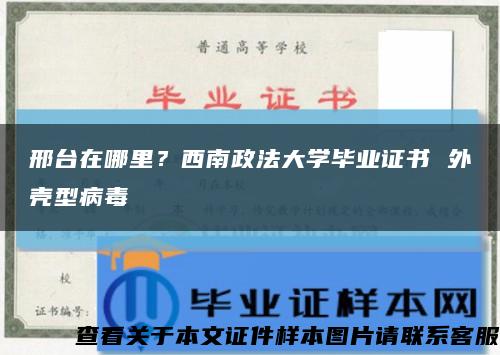 邢台在哪里？西南政法大学毕业证书 外壳型病毒缩略图