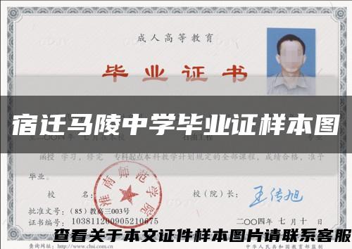 宿迁马陵中学毕业证样本图缩略图