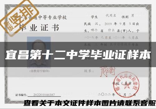宜昌第十二中学毕业证样本缩略图
