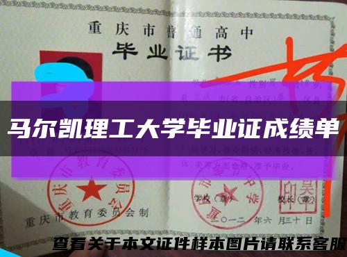 马尔凯理工大学毕业证成绩单缩略图