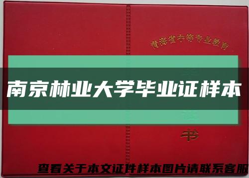 南京林业大学毕业证样本缩略图
