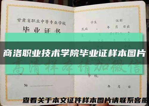 商洛职业技术学院毕业证样本图片缩略图