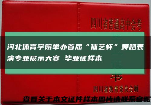 河北体育学院举办首届“体艺杯”舞蹈表演专业展示大赛 毕业证样本缩略图
