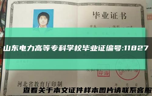 山东电力高等专科学校毕业证编号:11827缩略图