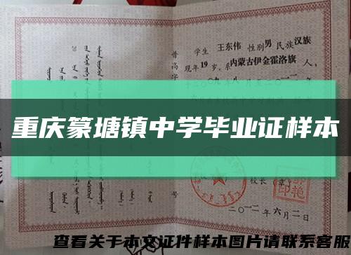 重庆篆塘镇中学毕业证样本缩略图