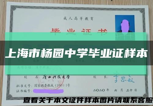 上海市杨园中学毕业证样本缩略图