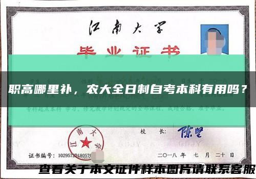 职高哪里补，农大全日制自考本科有用吗？缩略图
