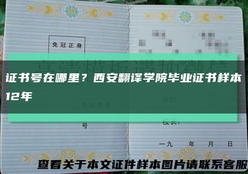 证书号在哪里？西安翻译学院毕业证书样本12年缩略图
