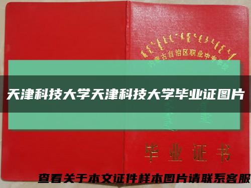天津科技大学天津科技大学毕业证图片缩略图