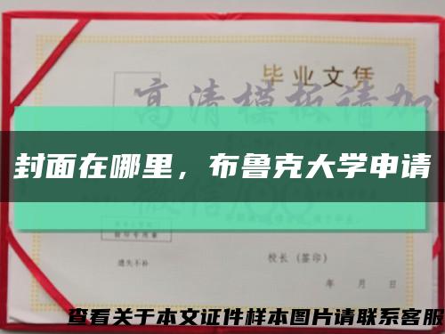 封面在哪里，布鲁克大学申请缩略图