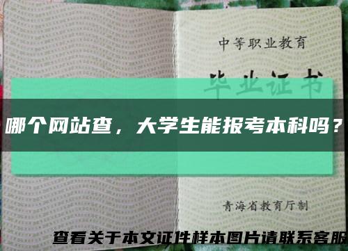 哪个网站查，大学生能报考本科吗？缩略图