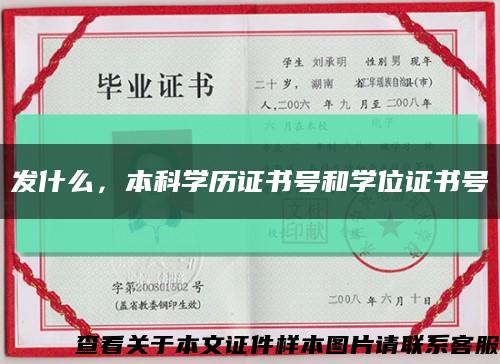 发什么，本科学历证书号和学位证书号缩略图
