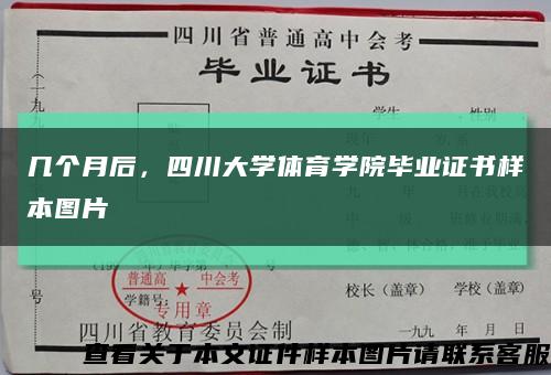 几个月后，四川大学体育学院毕业证书样本图片缩略图
