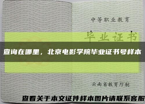 查询在哪里，北京电影学院毕业证书号样本缩略图