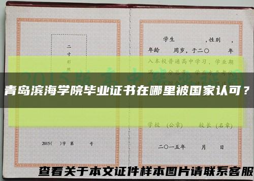 青岛滨海学院毕业证书在哪里被国家认可？缩略图