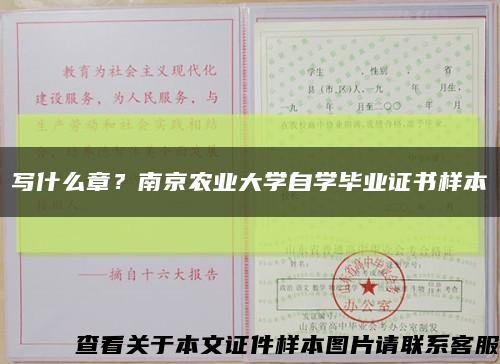 写什么章？南京农业大学自学毕业证书样本缩略图