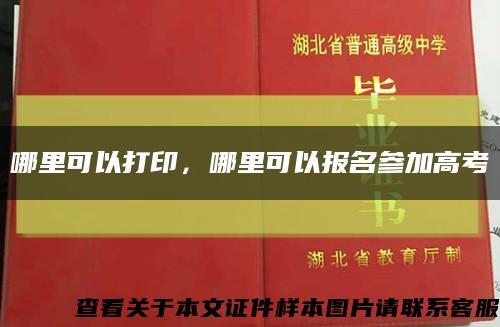 哪里可以打印，哪里可以报名参加高考缩略图