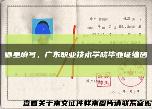 哪里填写，广东职业技术学院毕业证编码缩略图