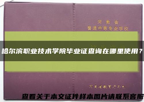 哈尔滨职业技术学院毕业证查询在哪里使用？缩略图