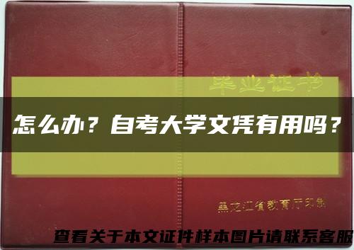 怎么办？自考大学文凭有用吗？缩略图