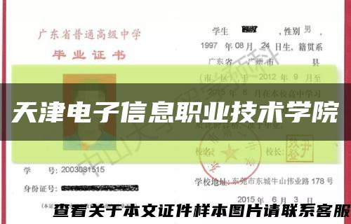 天津电子信息职业技术学院缩略图
