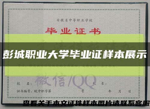 彭城职业大学毕业证样本展示缩略图