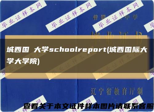 城西国際大学schoolreport(城西国际大学大学院)缩略图